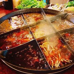 九肴涮 以良心為本，用美味與健康滋養(yǎng)每一刻